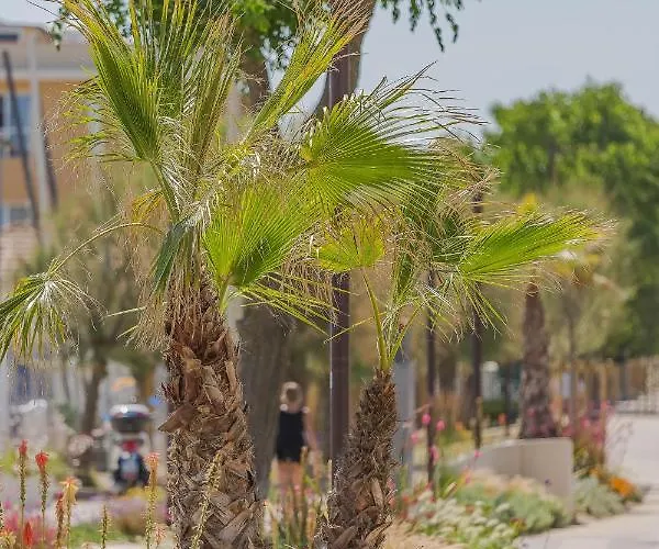 Hb Orchidea Blu 3* 里米尼